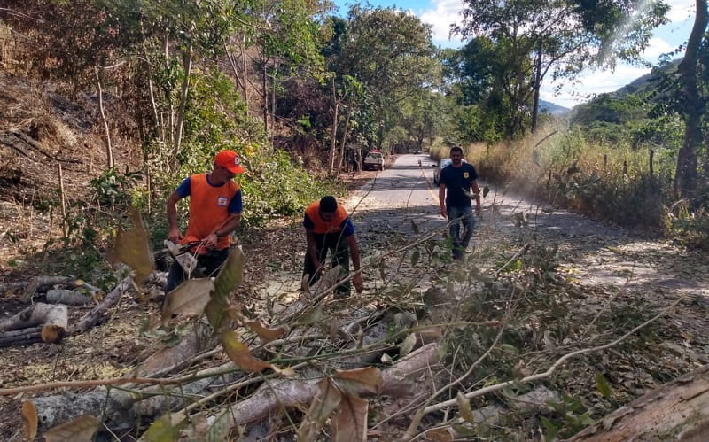 Defesa civil de Trajano de Moraes realiza trabalhos de poda e corte de árvores nas margens da RJ-174