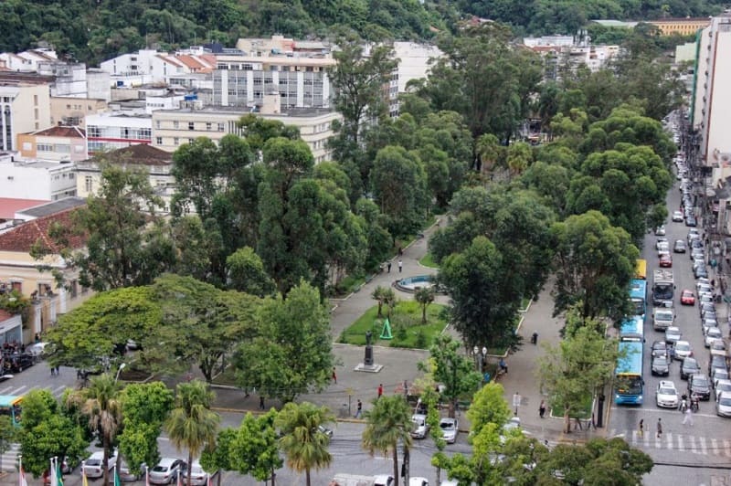 Prefeitura contrata Universidade para realizar estudo nas árvores da Praça Getúlio Vargas