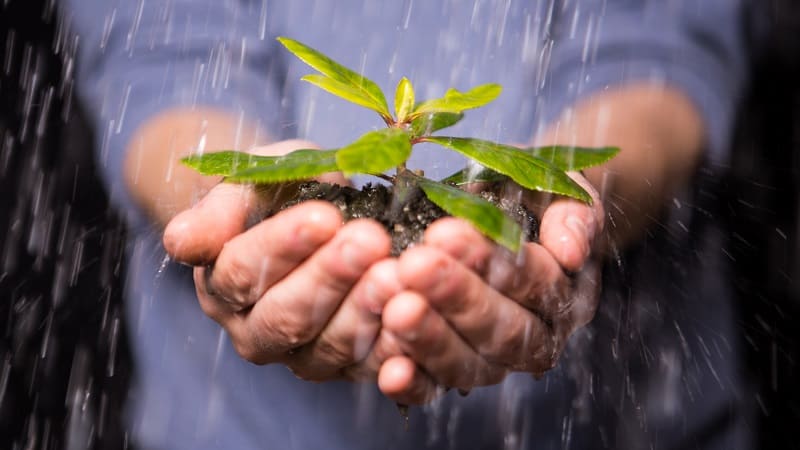 Empresas do Centro-Norte Fluminense podem inscrever projetos sustentáveis no Prêmio Firjan Ambiental 2020