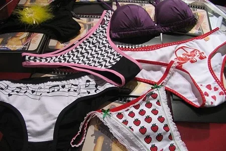Linha de crédito para o setor de Moda Íntima de Nova Friburgo