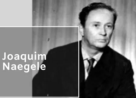 “Joaquim Naegele: um passeio ao passado”, por Celso Frauches