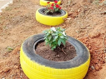 Secretaria de Cultura de Trajano de Moraes realiza projeto de plantio de flores nas ruas