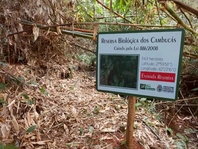 “Reserva Ecológica dos Cambucás (Fonte de Renda)”, por Dr Júlio Carvalho
