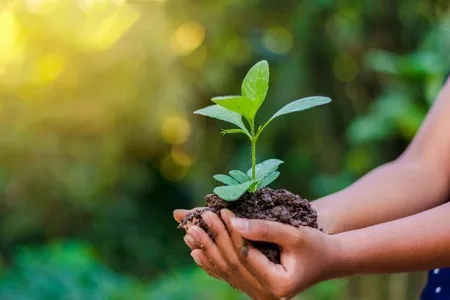 Cordeiro, Carmo, Nova Friburgo e Macuco se destacam com desempenho social e ambiental no Estado