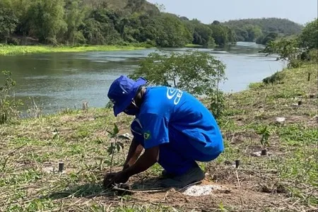 CEDAE doa mudas para ações de reflorestamento em Barra Mansa e Cordeiro