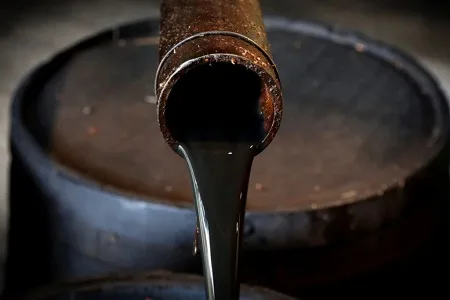 “Ouro Negro”, por Dr Júlio Carvalho