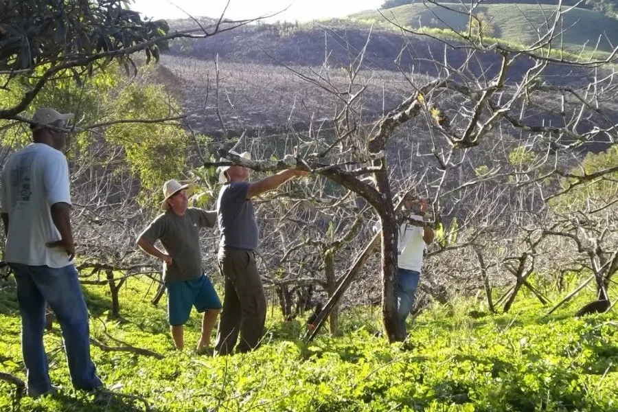 Emater-Rio promove Seminário da Agroecologia em Bom Jardim