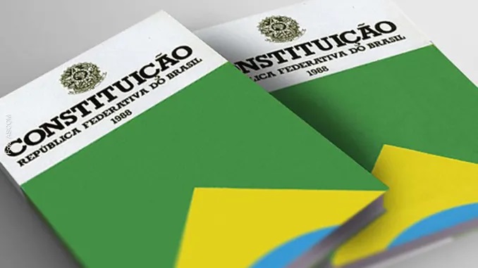 “Carta à Constituição”, por Amanda de Moraes