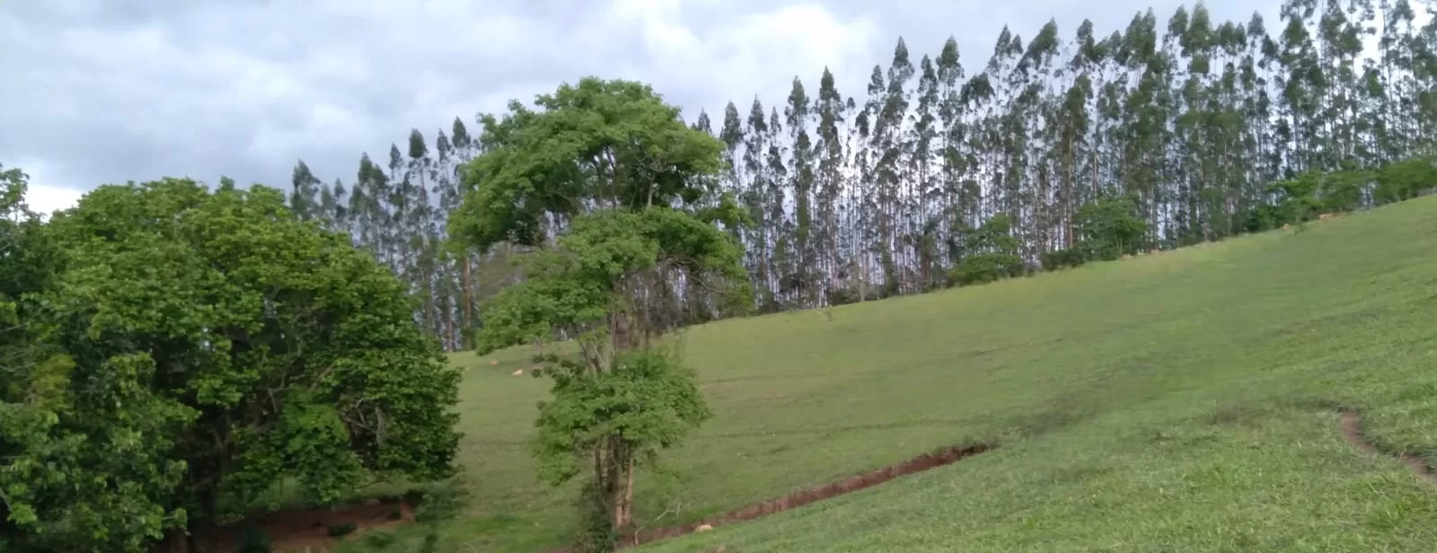 Vende-se sítio com 10 alqueires em Cantagalo