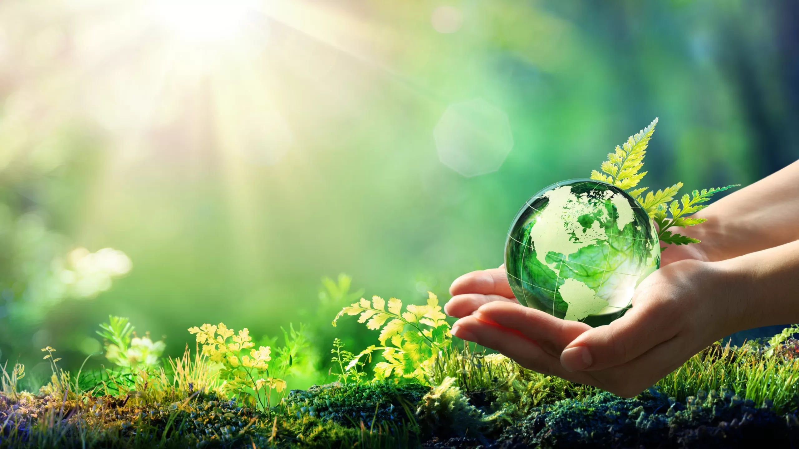 “Ecologia e Religião”, por Dr Júlio Carvalho