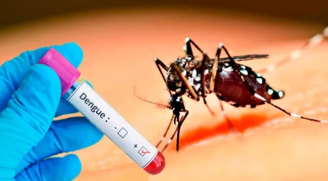 Casos de dengue: Carmo tem 1.209 casos; São Sebastião do Alto 645; e Cantagalo 417 em fevereiro