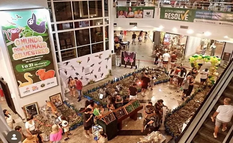 Exposição ‘Mundo dos Animais’, com parceria da Rota 116, retoma ao Cadima Shopping